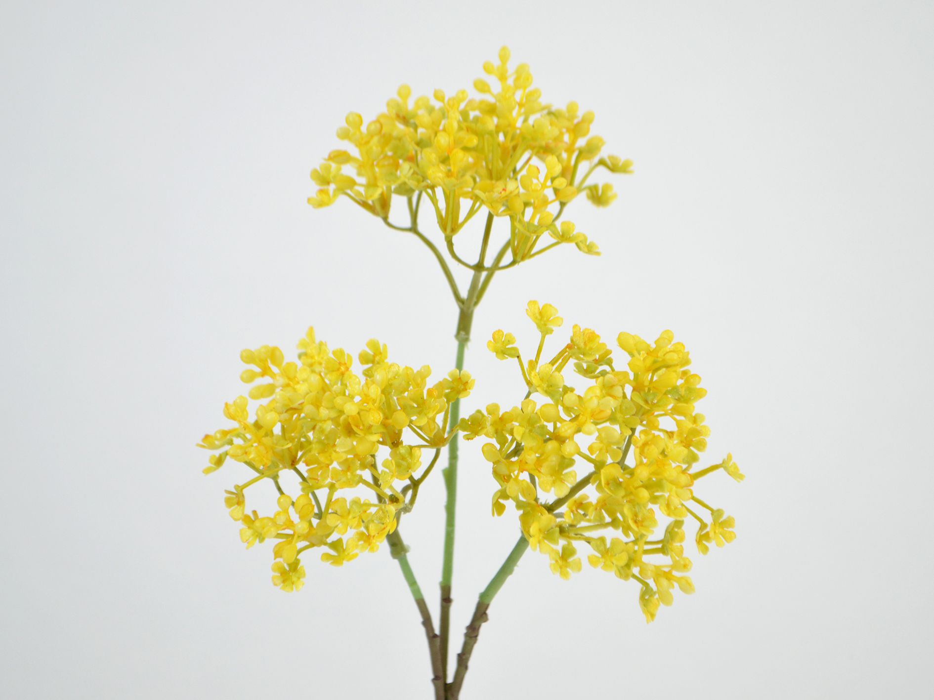 Allium Branch, 38cm, gul Allium Branch, 38cm, gul