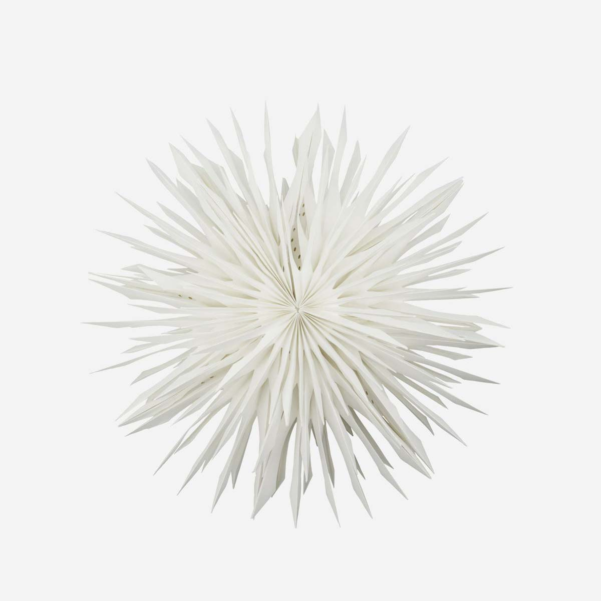 Stjerne, Reef, Råhvid* Stjerne, Reef, Råhvid*