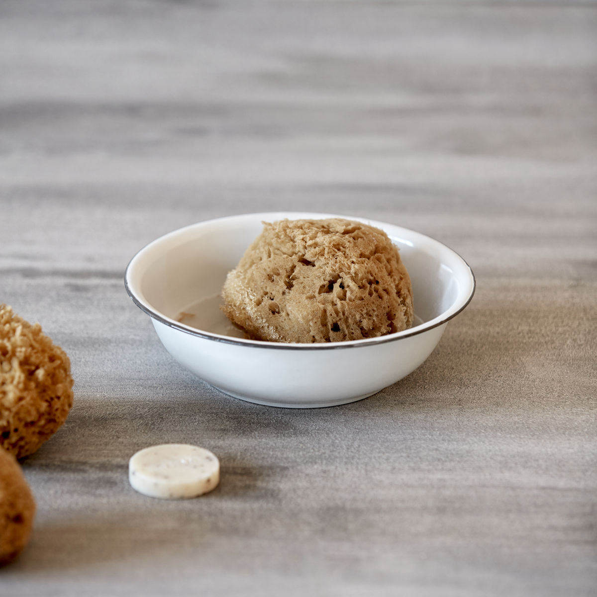 Meraki Svamp Bahamas*