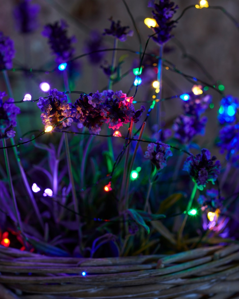 Knirke 40 lys, Multi Knirke 40 lys, Multi