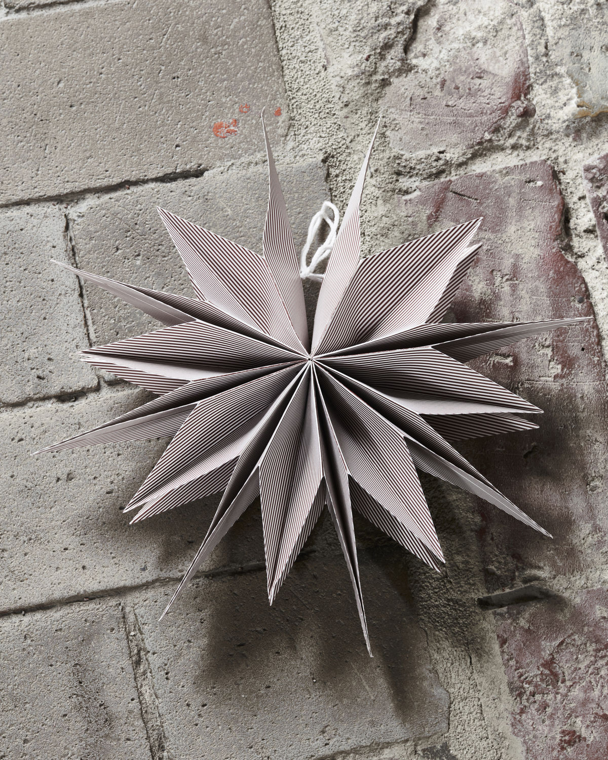 Stjerne, Capella, Brændt rød/hvid Ø30 cm* Stjerne, Capella, Brændt rød/hvid Ø30 cm*