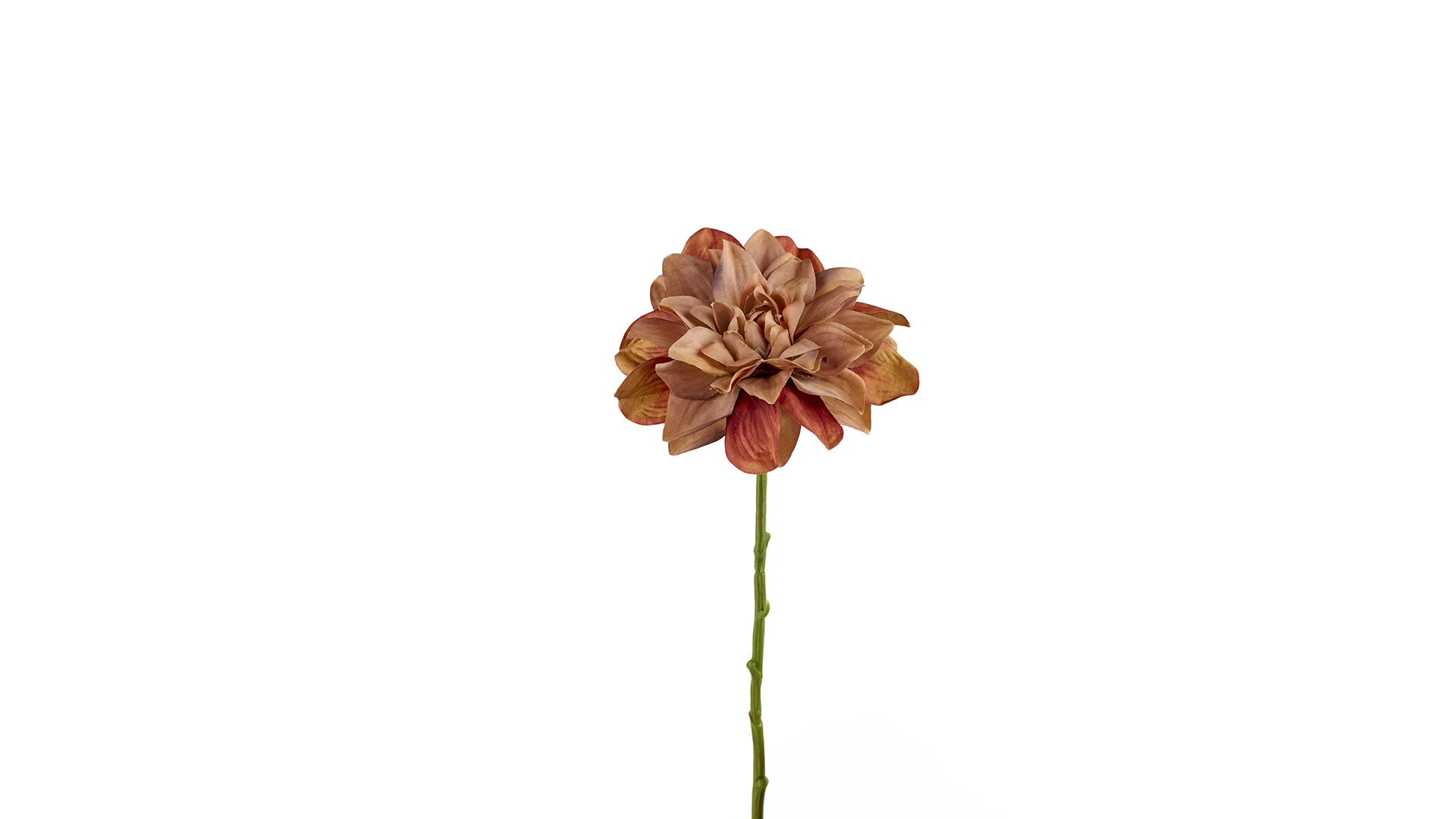 Silkeblomst Dahlia 33 cm Dust