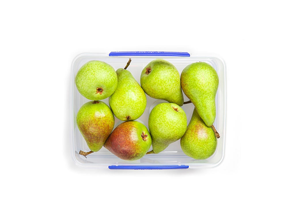 Sistema Rectangular 2l