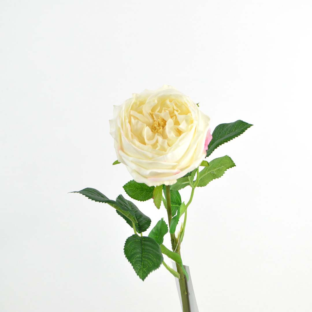 Cabbage rose real touch, 59 cm, cream Cabbage rose real touch, 59 cm, cream