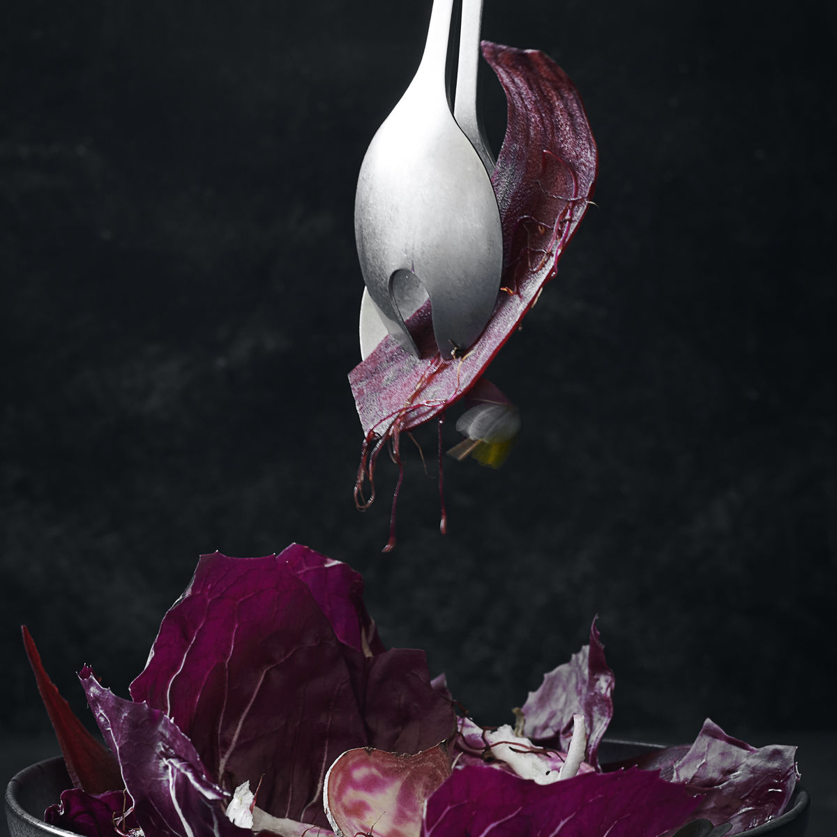 Salatsæt, Daily Salatsæt, Daily