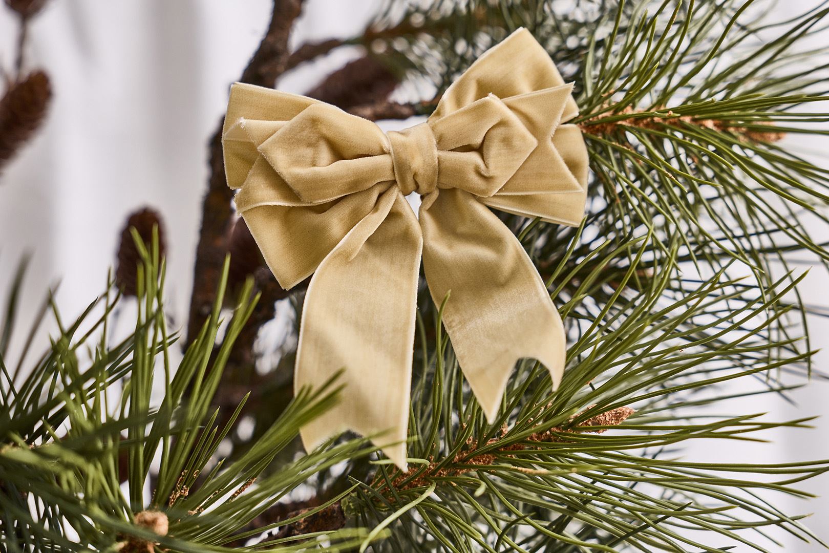 Sløjfe Velour 2 pak 15 cm Champagne