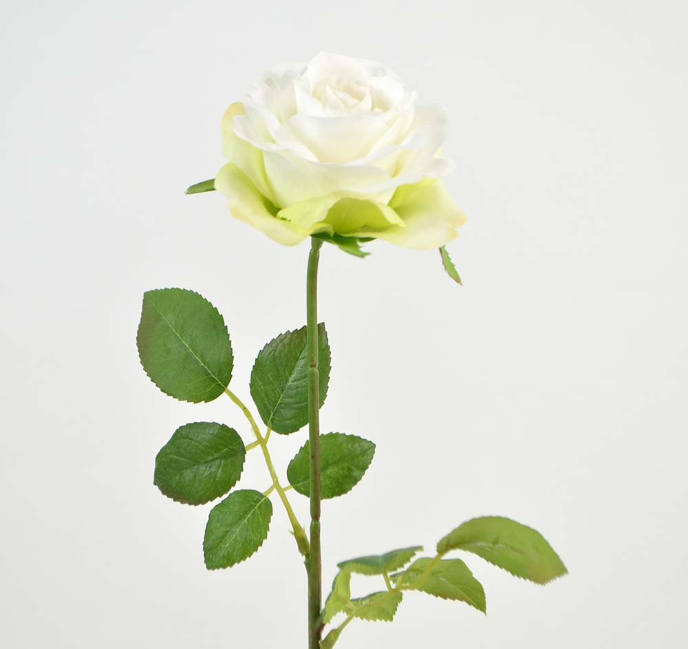 Rose branch, 43 cm, white Rose branch, 43 cm, white
