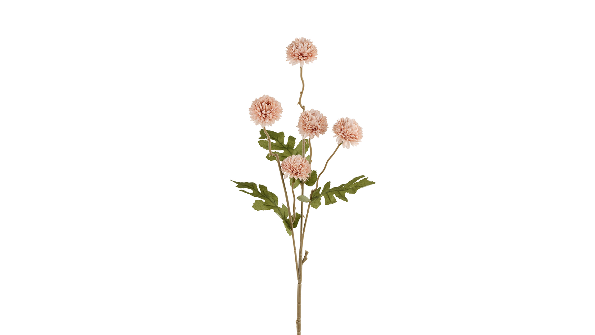 Silkeblomst Chrysantemum 50 cm Rosa