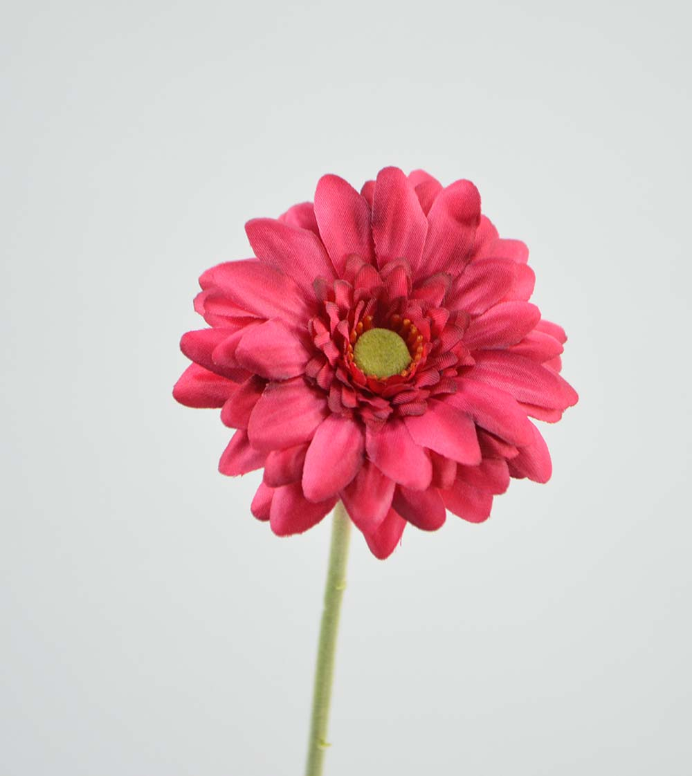 Gerbera x 1, 47 cm, beauty Gerbera x 1, 47 cm, beauty