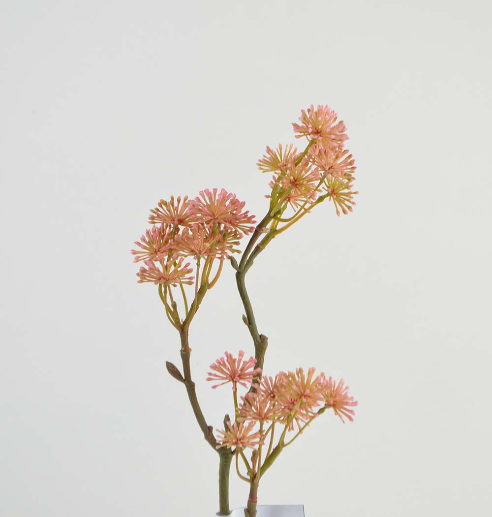 Skimmia branch, pink Skimmia branch, pink