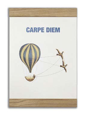 Carpe diem, 2-in-one Carpe diem, 2-in-one