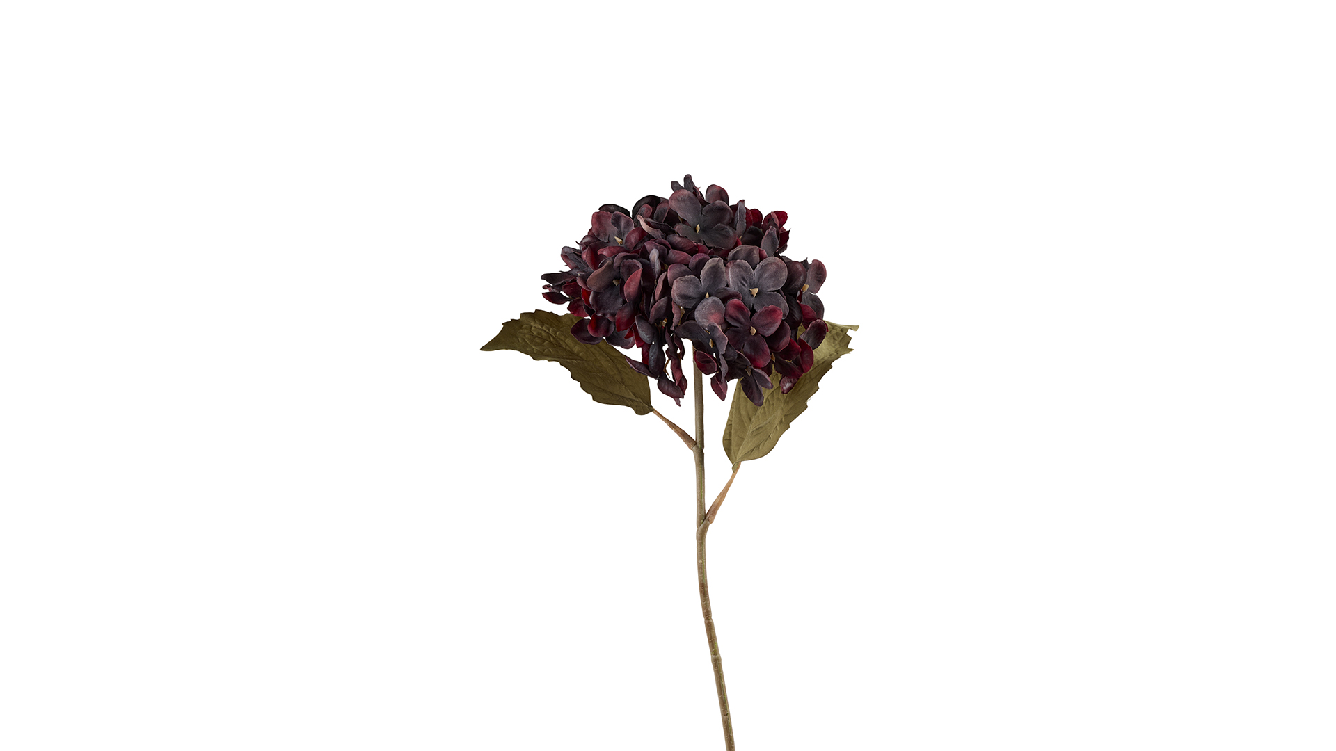 Silkeblomst Hortensia 42 cm Boredaux