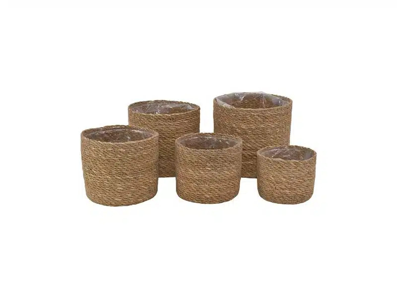 Søgræskurve, sæt á 5* Søgræskurve, sæt á 5*