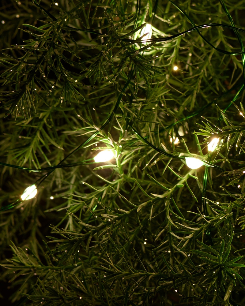 Knirke 40 lys med timer, Klar/Grøn Knirke 40 lys med timer, Klar/Grøn