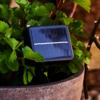 Lucas Solar Panel