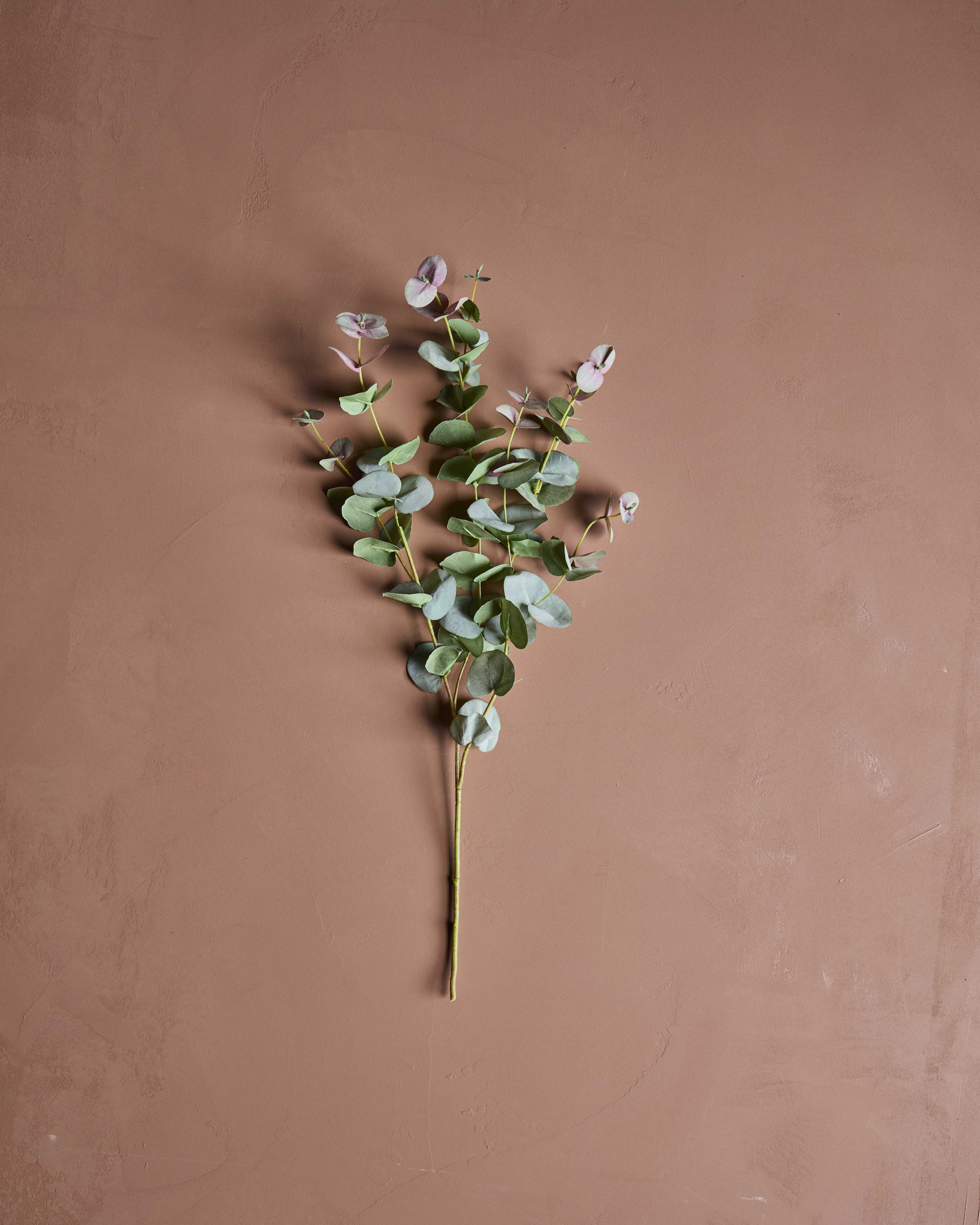 Artificial branch, Eucalyptus, Grøn