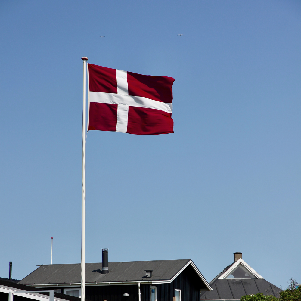 8m flagstang Dannebrog 1219 Jubilæumsflag - Langkilde & Søn