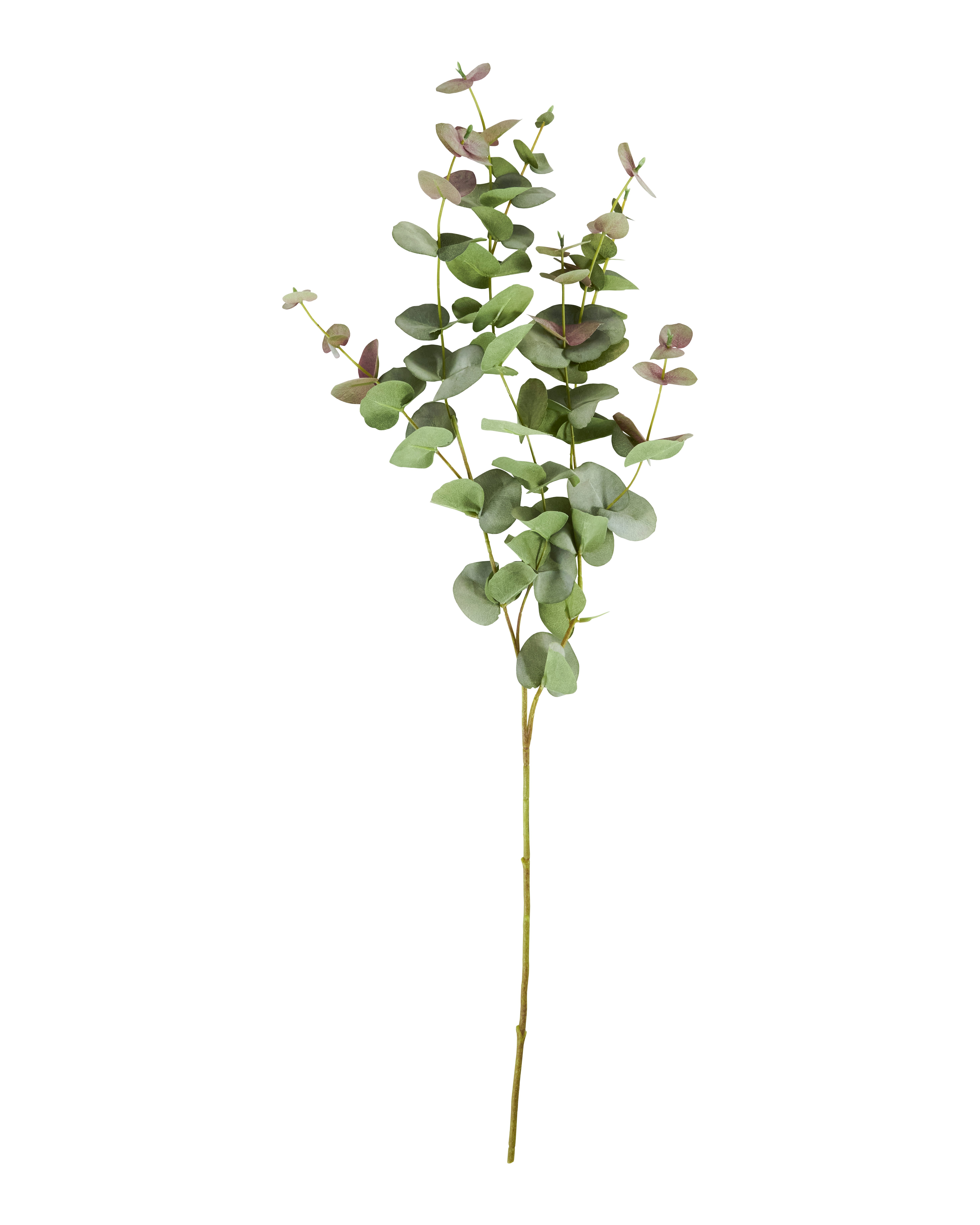 Artificial branch, Eucalyptus, Grøn