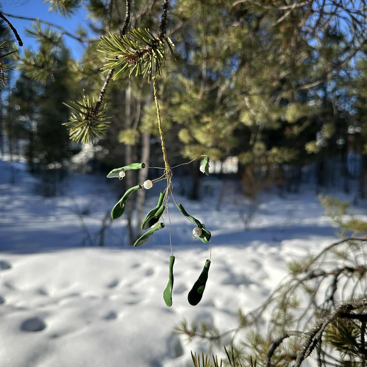 Medusa Copenhagen Misleten