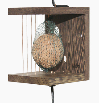 Birds Café Birds Café