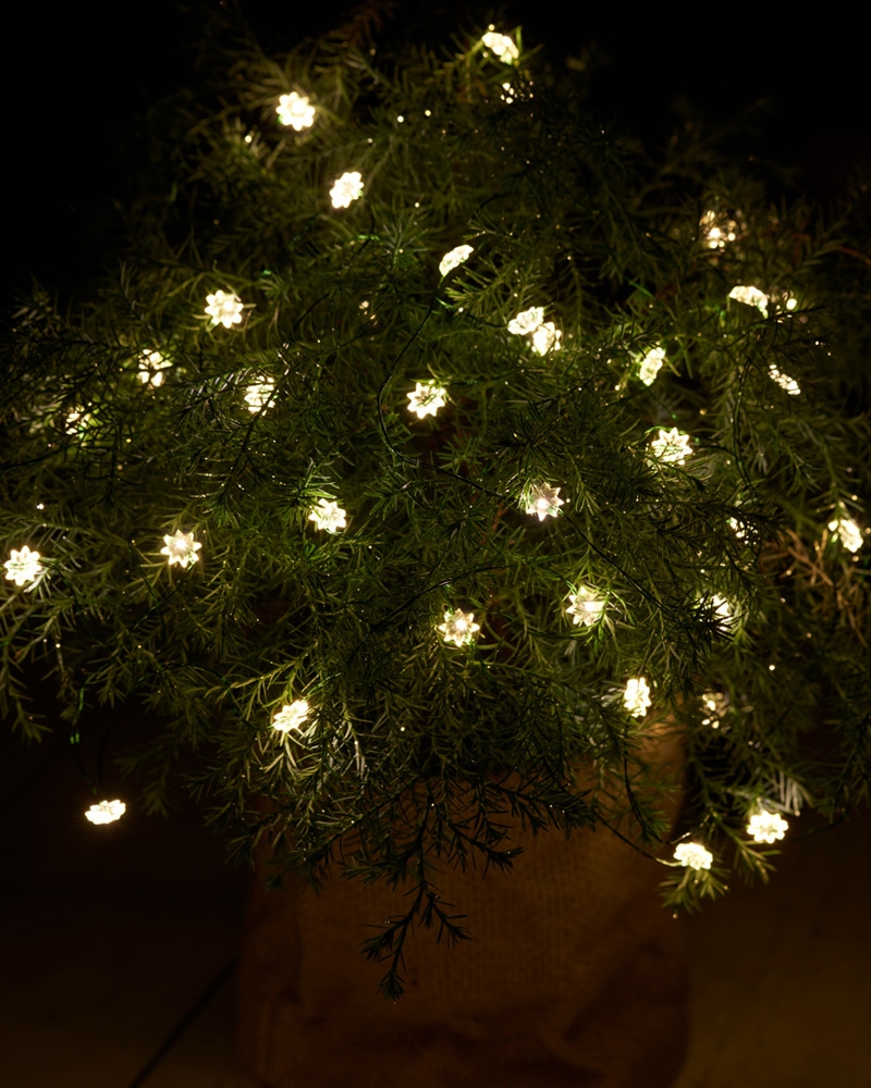 Silke miniblomst 40 lys med timer, Klar/Grøn Silke miniblomst 40 lys med timer, Klar/Grøn