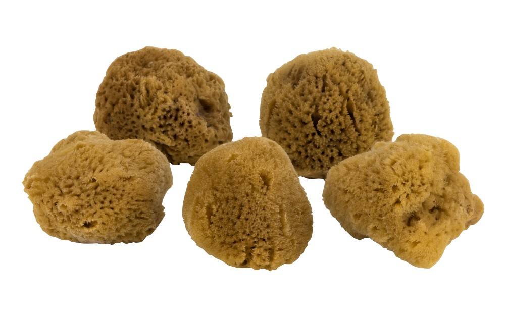 OCEAN Ansigtssvamp, 5 stk., mørk* OCEAN Ansigtssvamp, 5 stk., mørk*