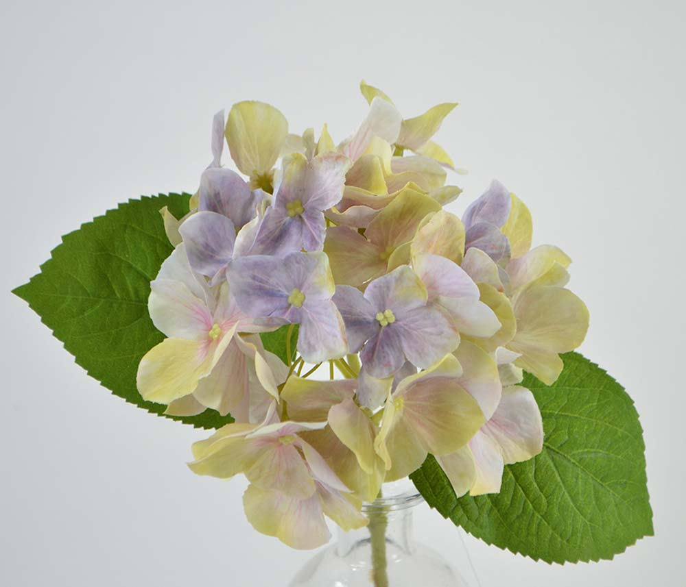 Hydrangea, 33 cm, purple-green Hydrangea, 33 cm, purple-green