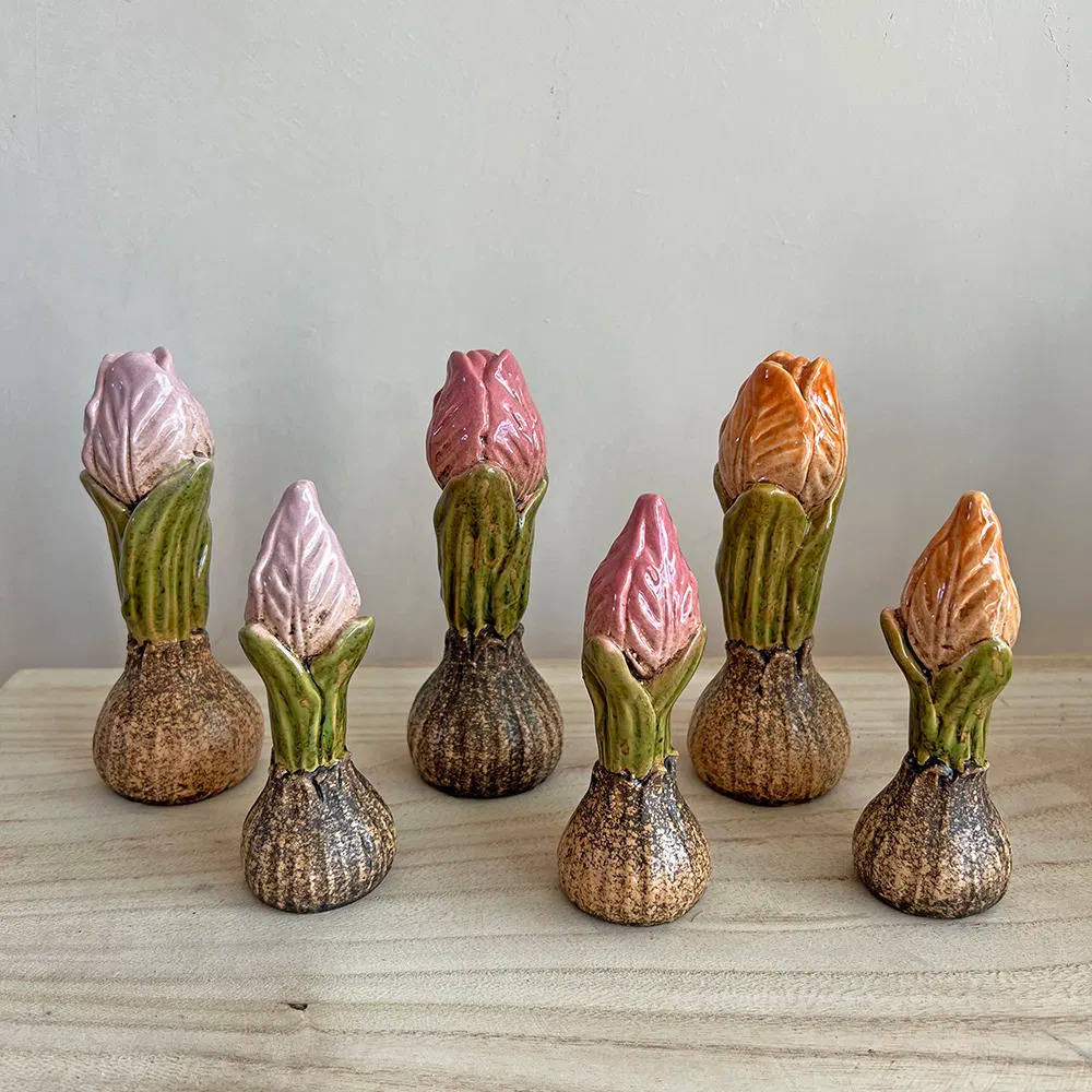 Tulipanløg, lille, orange Tulipanløg, lille, orange