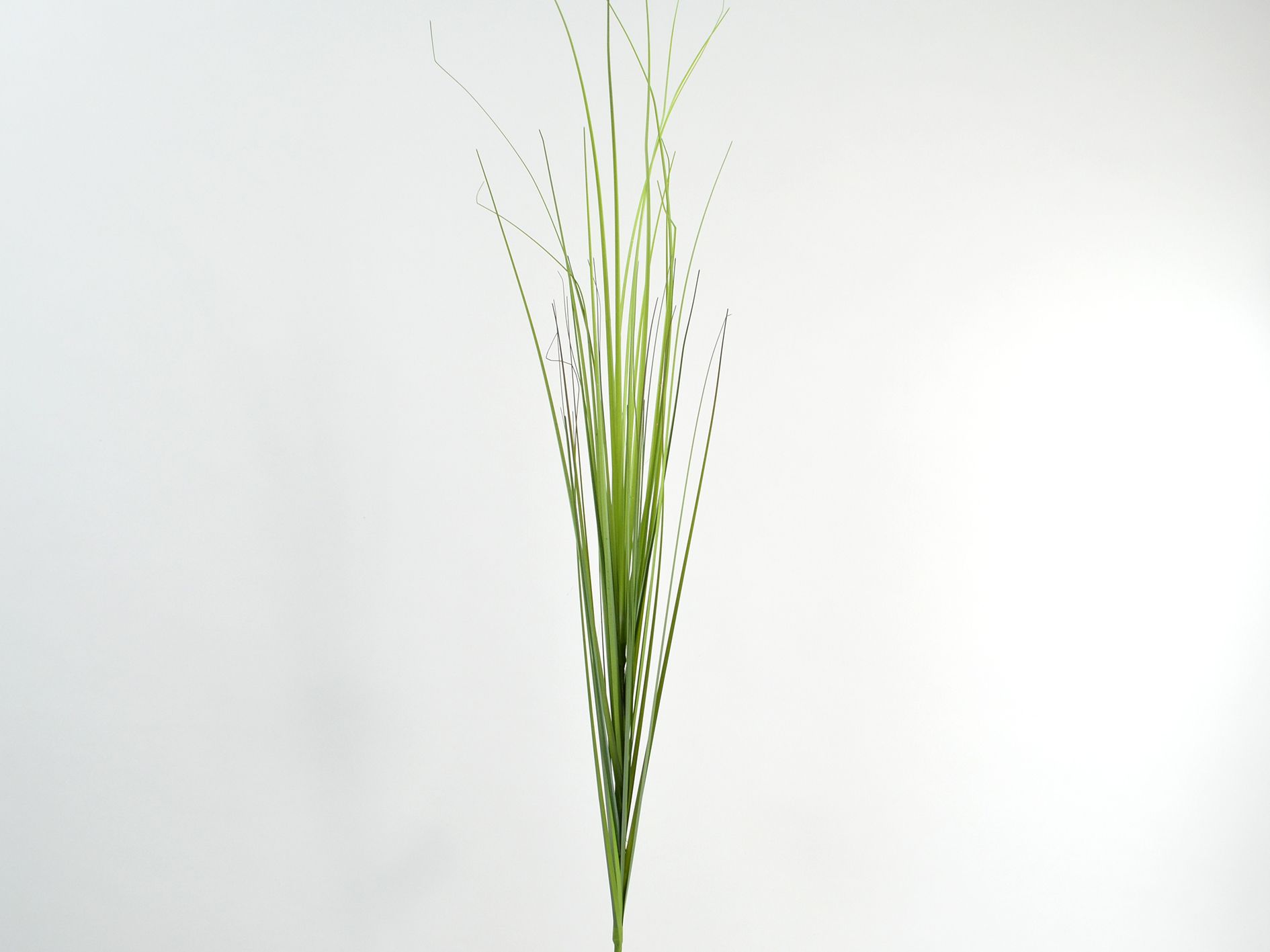 Onion Grass, 93cm Grøn Onion Grass, 93cm Grøn