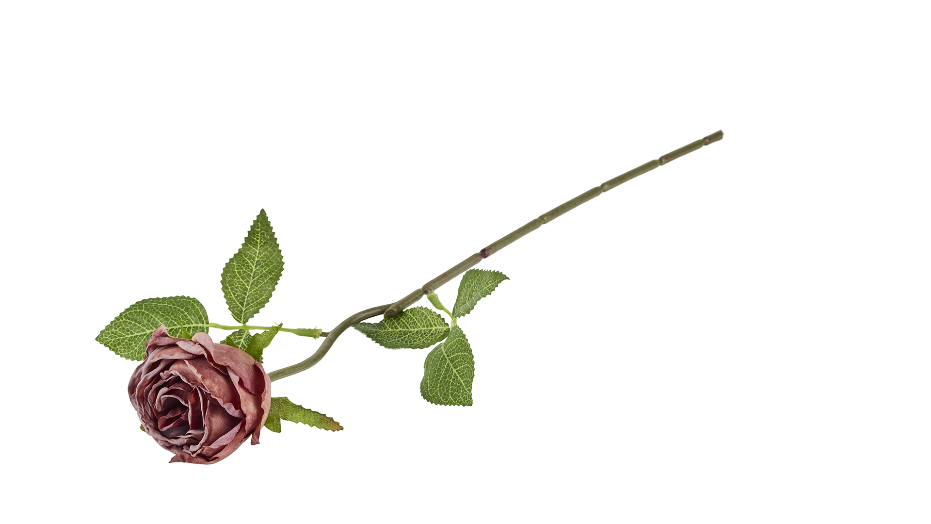 Silkeblomst Rosenknop Antik 30 cm Bordeaux