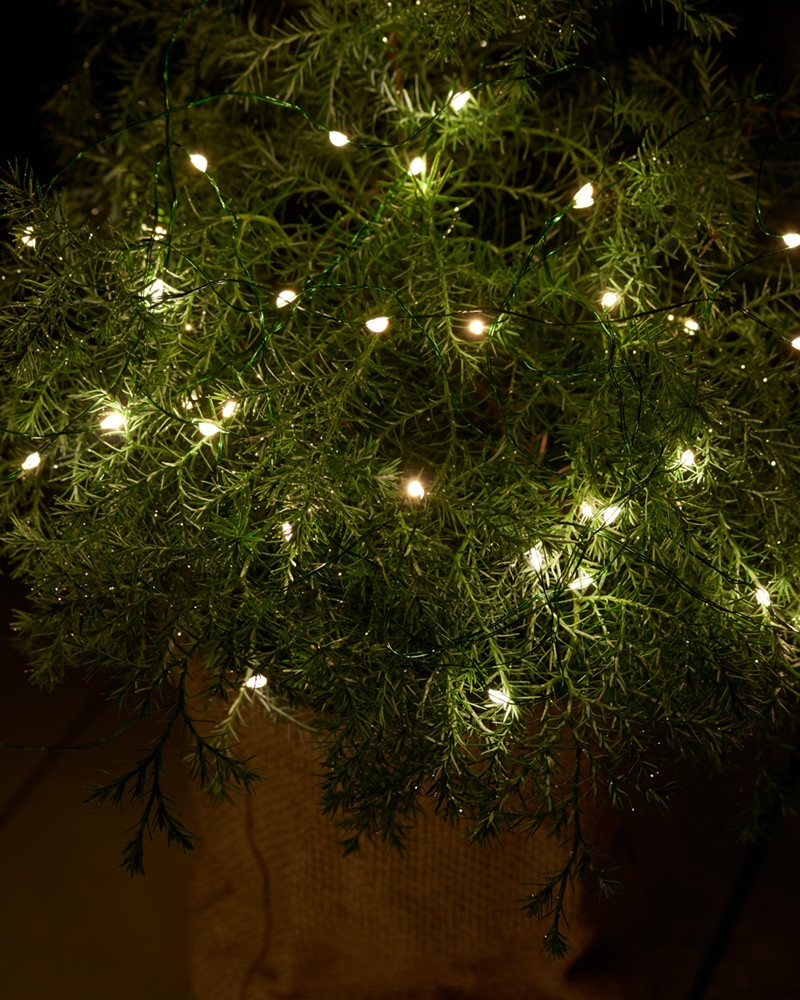 Knirke 40 lys med timer, Klar/Grøn Knirke 40 lys med timer, Klar/Grøn