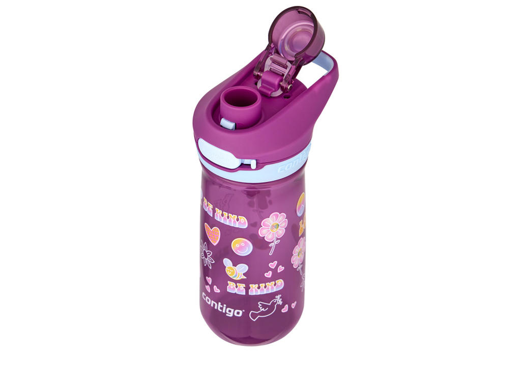 Contigo Jessie Grape Retro, 420ml