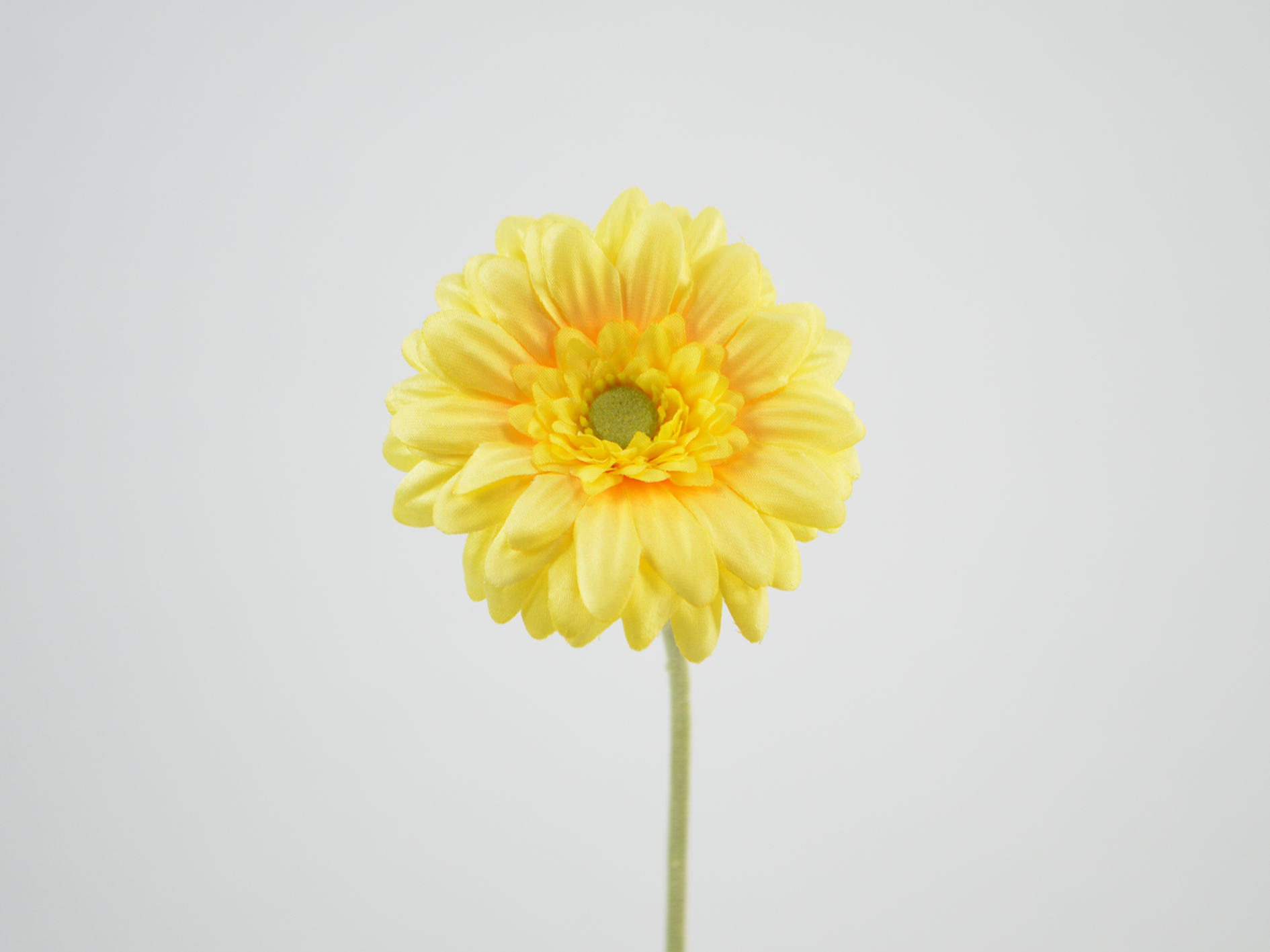 Gerbera x 1, 47 cm, yellow Gerbera x 1, 47 cm, yellow