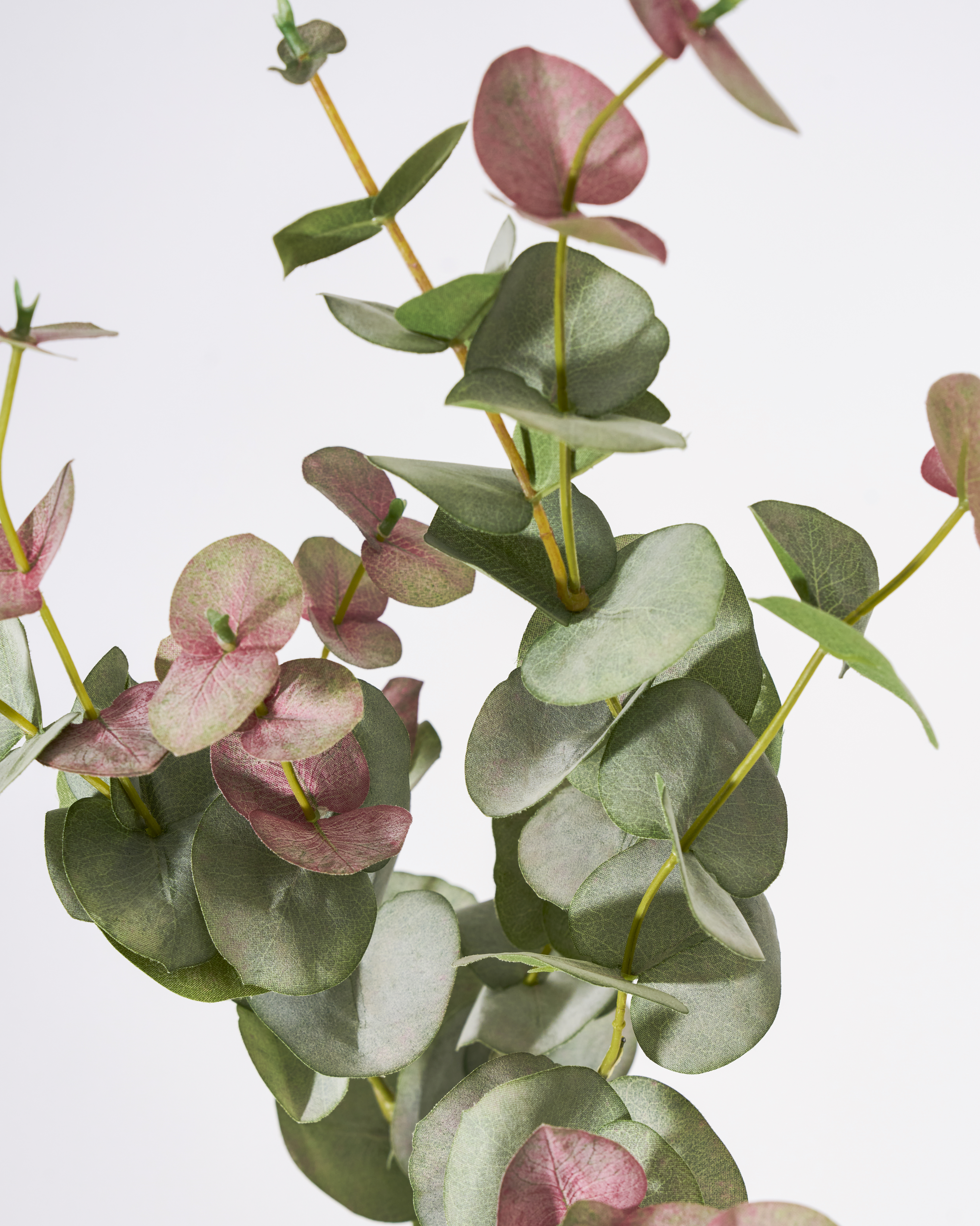 Artificial branch, Eucalyptus, Grøn
