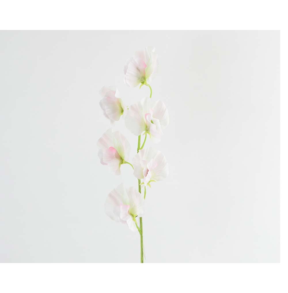 Sweet peas twig, 46cm, champagne